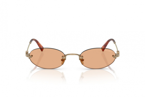 Очки Miu Miu MU A54S 7OE90X