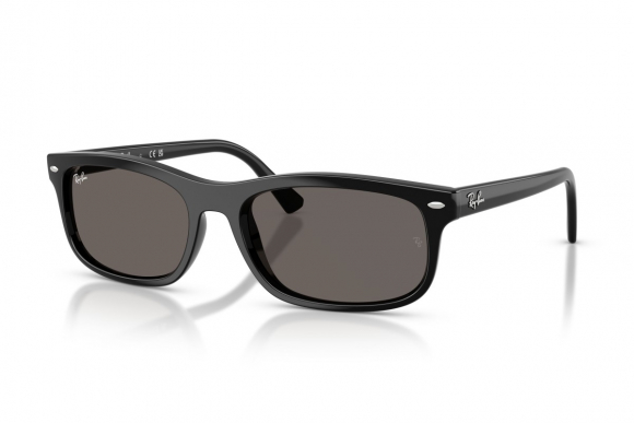 Очки Ray Ban RB 2224 901/B1