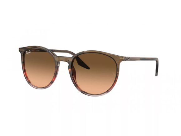 Очки Ray Ban Highstreet RB 2204 1395/3B