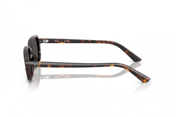 Очки Ray Ban Zuri RB 4455 1359/87 Очки Ray Ban Zuri RB 4455 1359/87