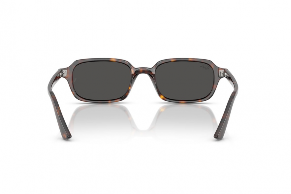 Очки Ray Ban Zuri RB 4455 1359/87 Очки Ray Ban Zuri RB 4455 1359/87