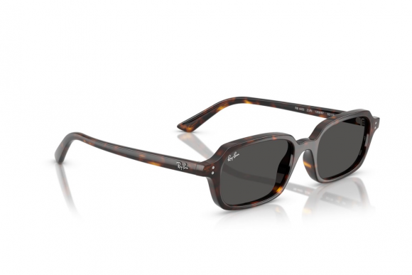 Очки Ray Ban Zuri RB 4455 1359/87 Очки Ray Ban Zuri RB 4455 1359/87