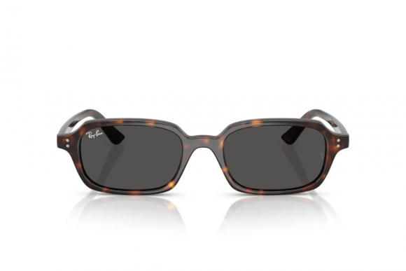 Очки Ray Ban Zuri RB 4455 1359/87 Очки Ray Ban Zuri RB 4455 1359/87